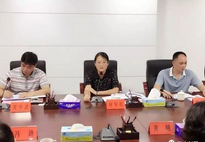 發(fā)揮嶺南旅游優(yōu)勢(shì)，共筑封開(kāi)旅游新篇章——嶺南集團(tuán)調(diào)研封開(kāi)旅游開(kāi)發(fā)項(xiàng)目